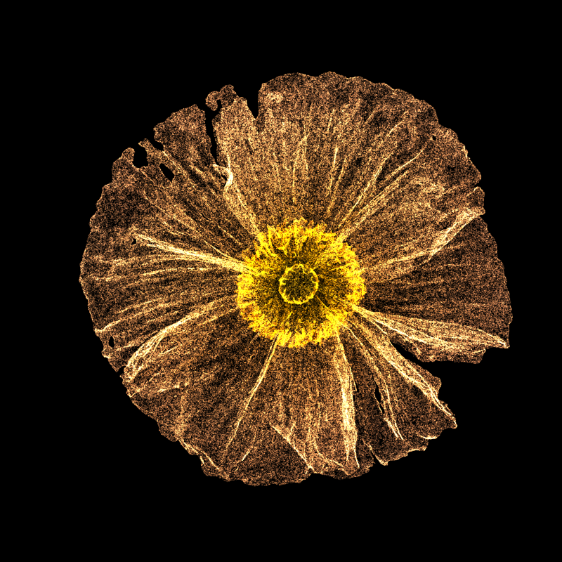 White Poppy 30 #2 static token preview