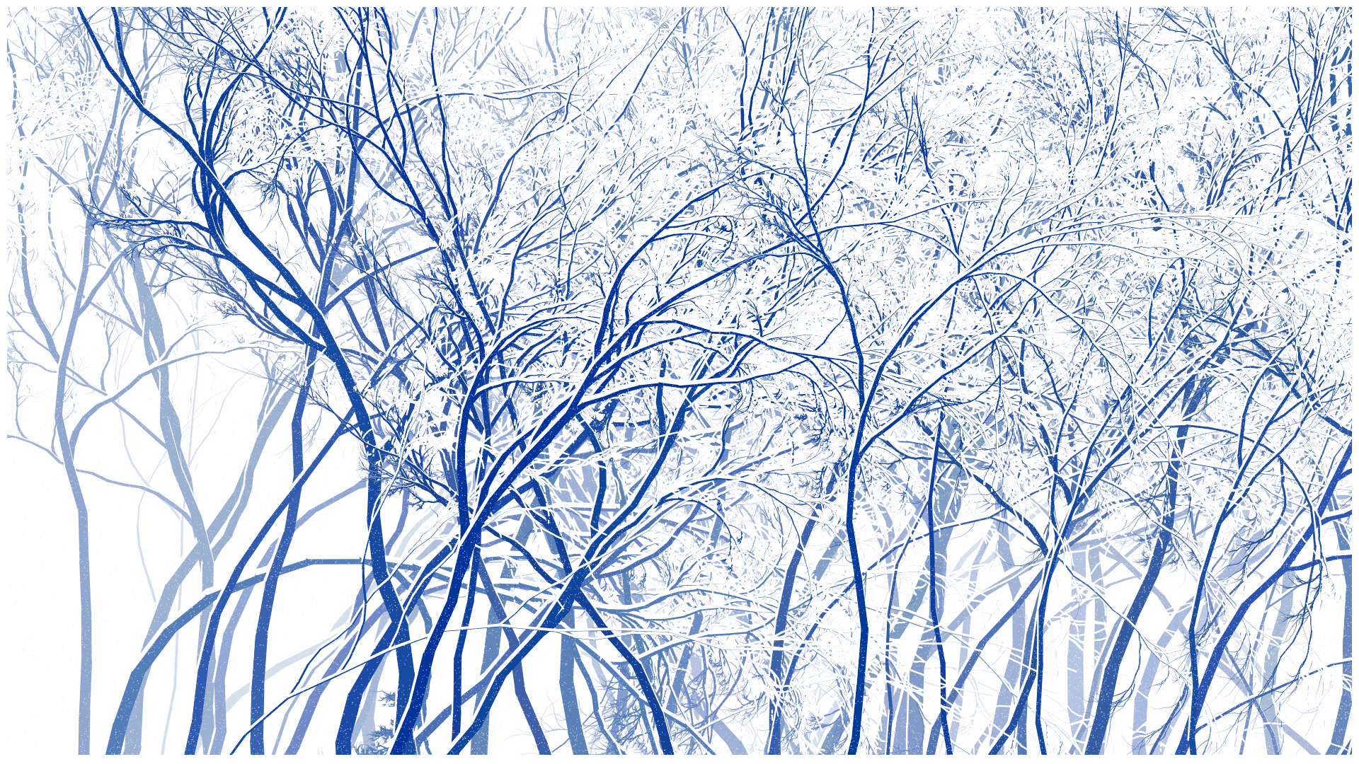 SCHNEEWALD #185 static NFT preview