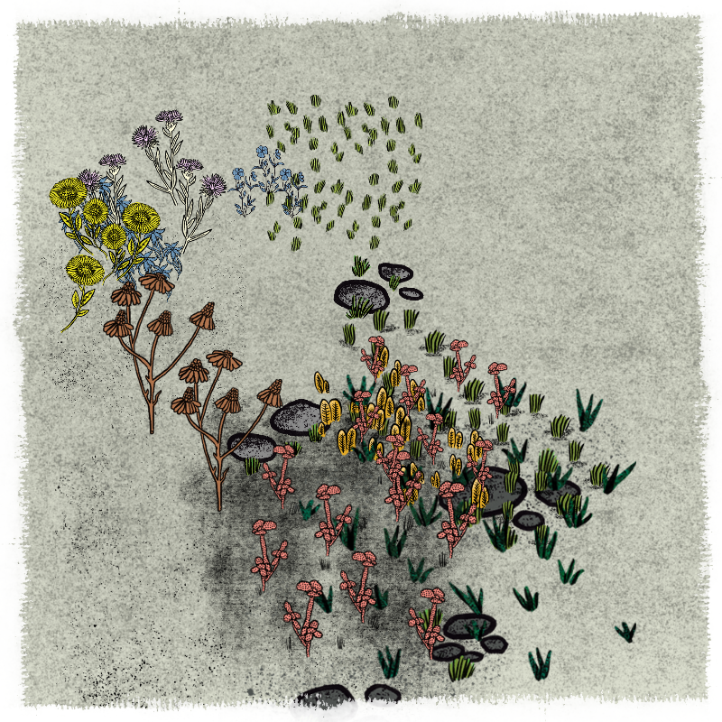 Gardens #132 static NFT preview
