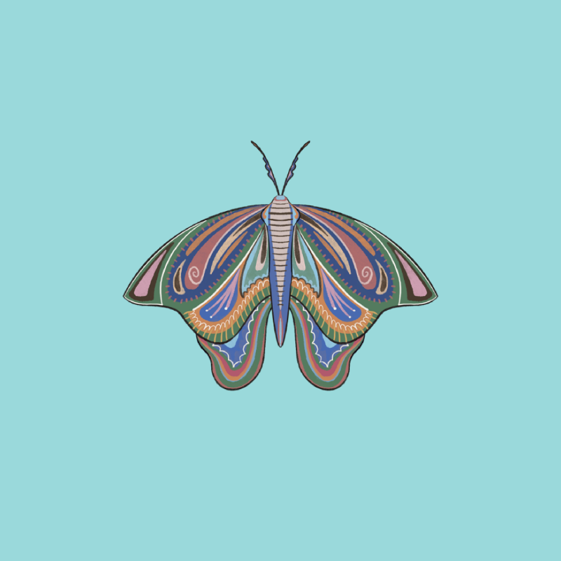 The Moth Experiment 2.0 P1 #14 static token preview