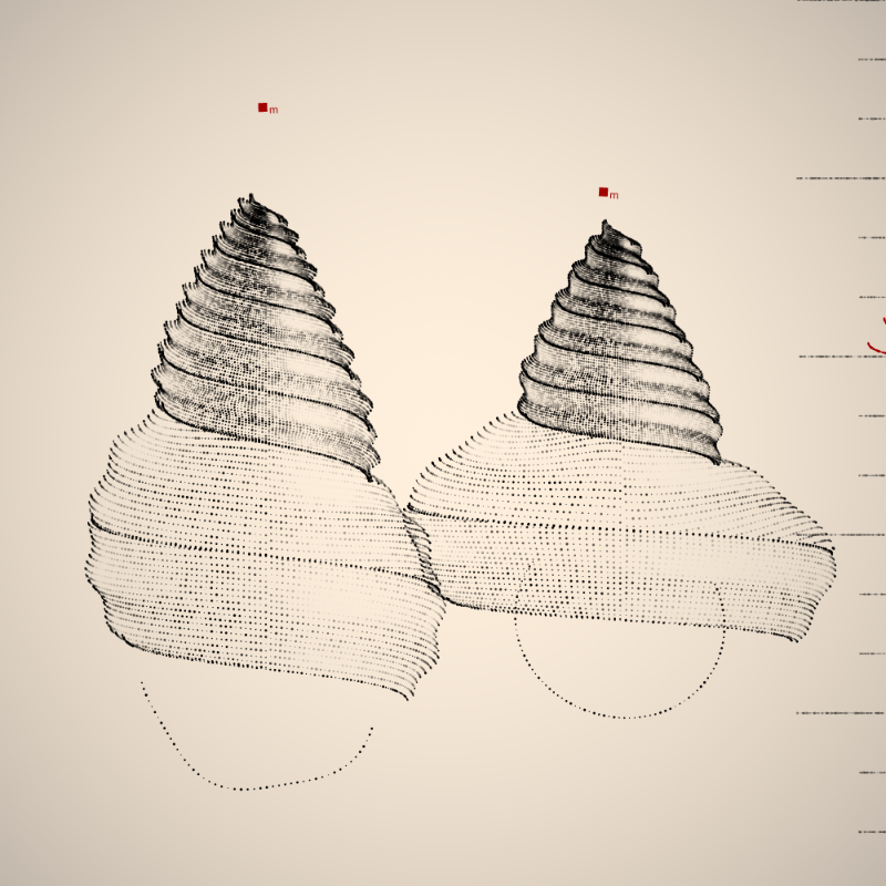 Two Specimen #372 static NFT preview