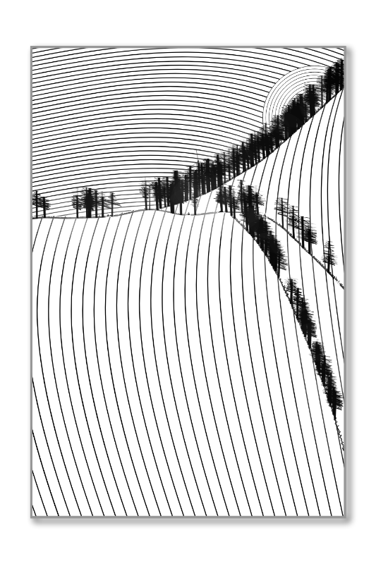 Harmonious Hill #64 static NFT preview
