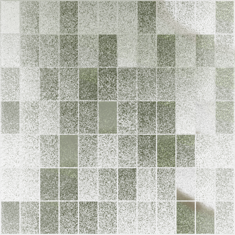 Boundary Conditions #81 static NFT preview