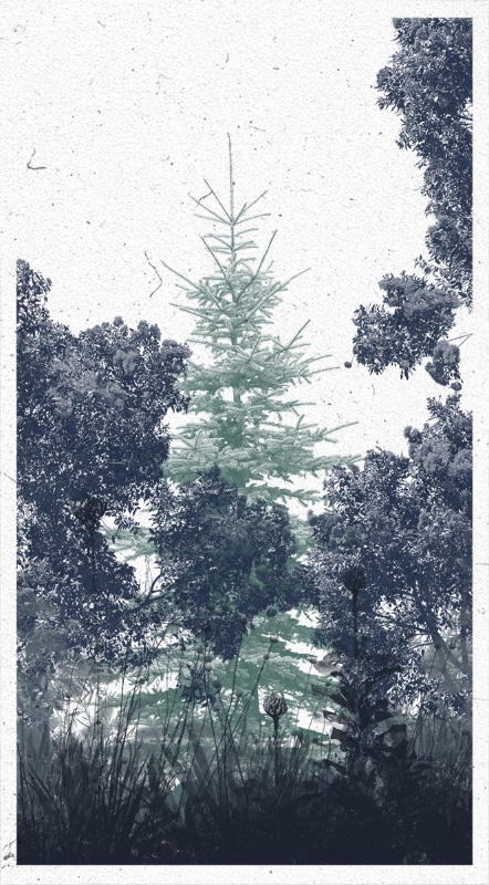 Life in the forest! #75 static NFT preview
