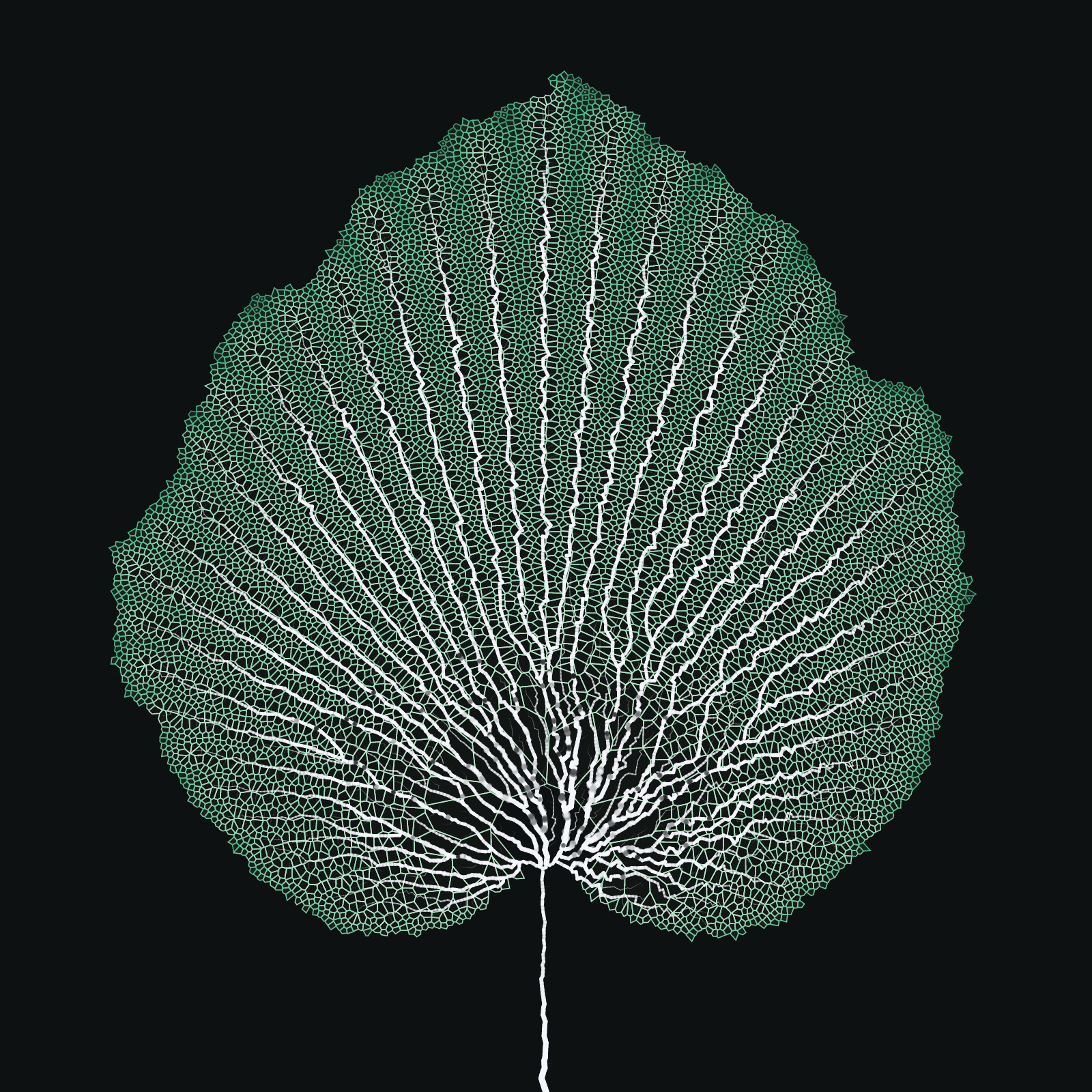 Leaf study #55 static token preview