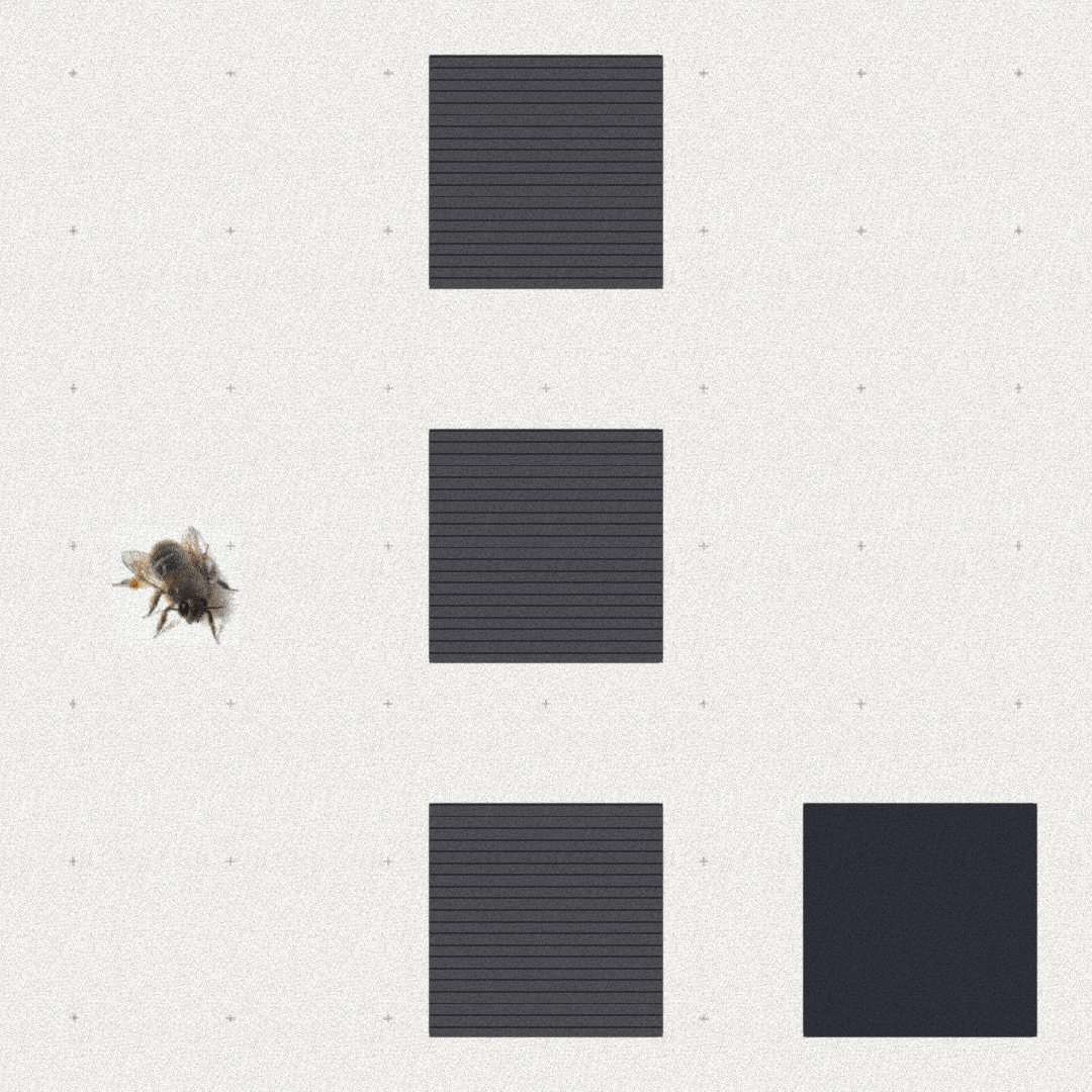 Bee #98 static NFT preview