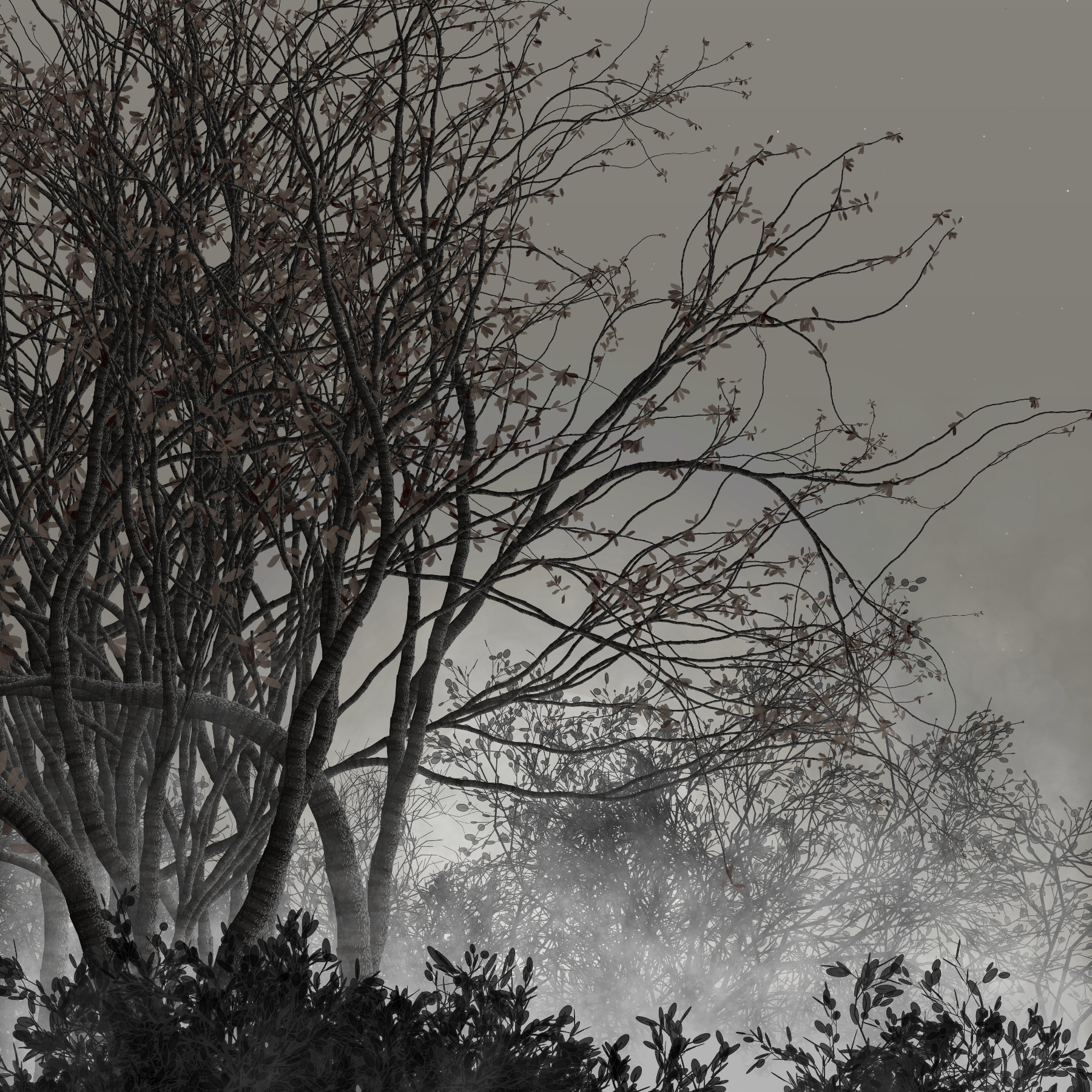 Morning Mist #252 static token preview