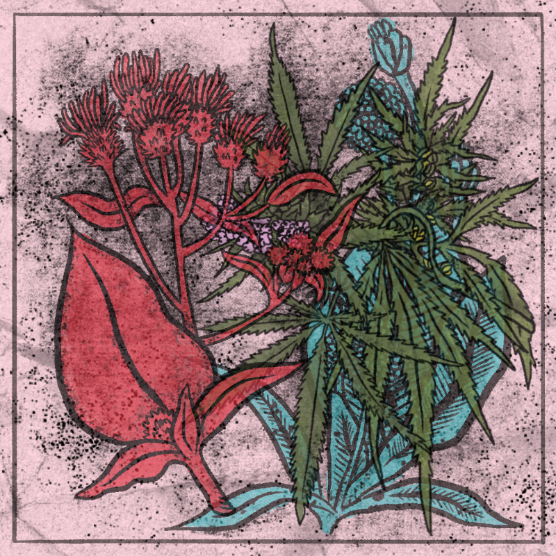 Bouquet #32 static NFT preview