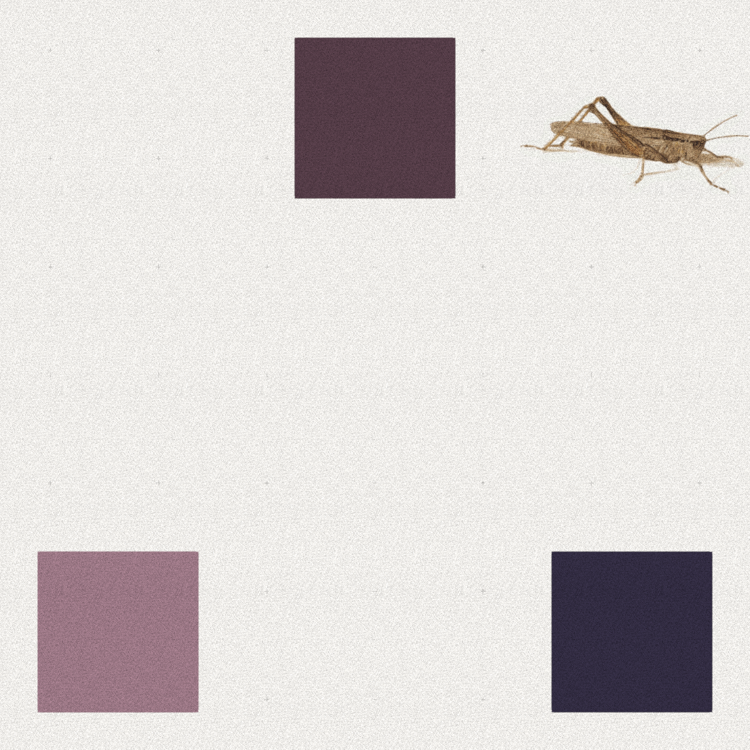 Grasshopper #65 static NFT preview