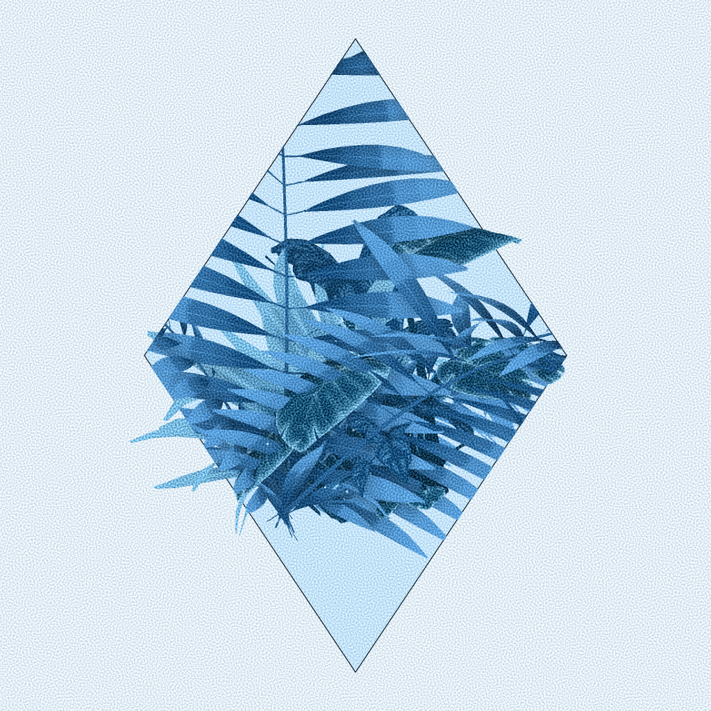 Botany #62 static token preview