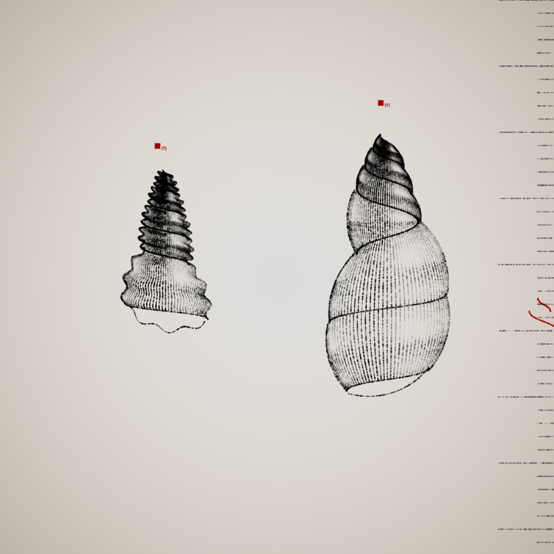 Two Specimen #413 static token preview