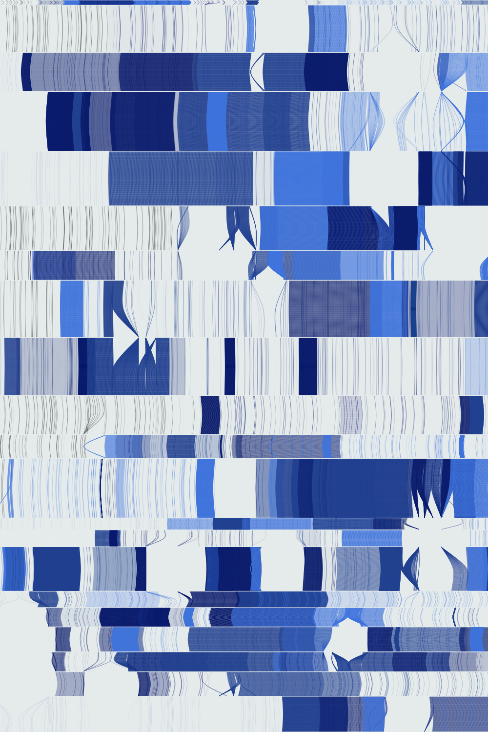 Disrupt #198 static token preview