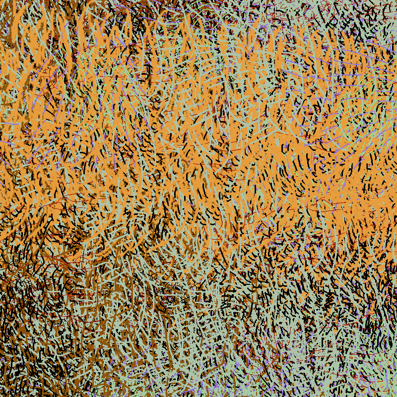a bird worked on my painting #52 static NFT preview