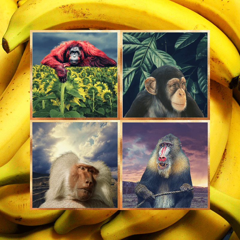 Banana legends #48 static NFT preview