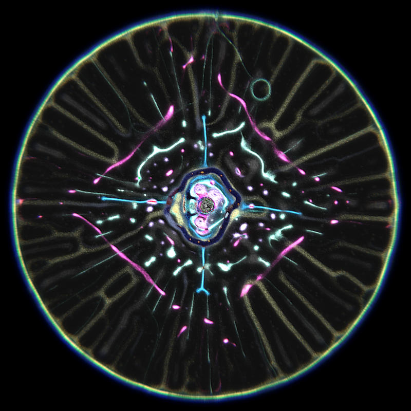 Ethereal Microcosm #4 static token preview