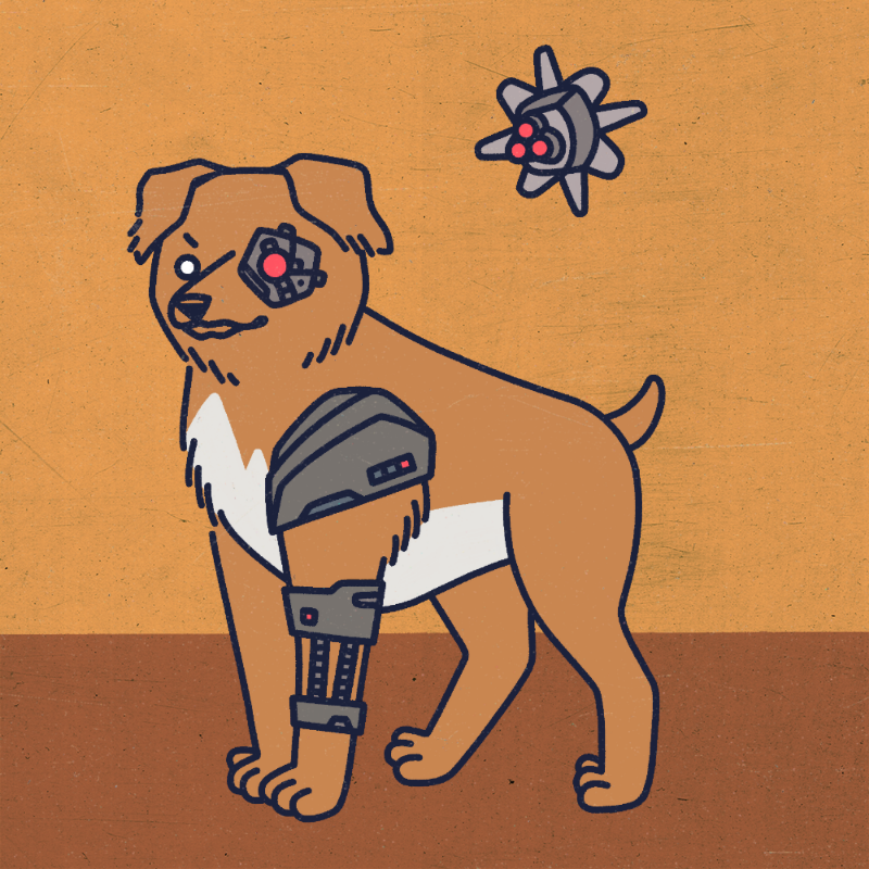 future_dogs #237 static token preview