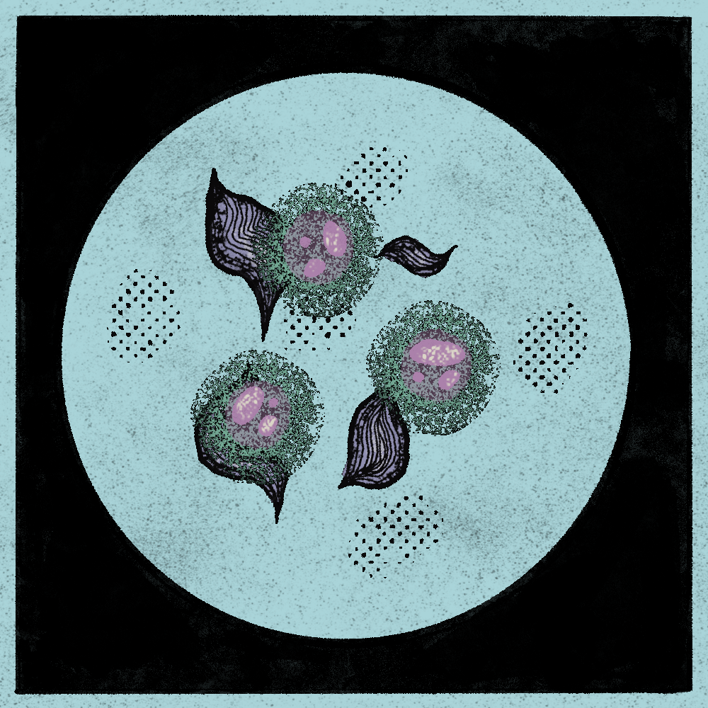 Microbes #253 static token preview