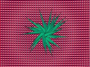 Trimorphism project preview