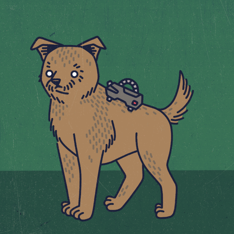 future_dogs #244 static token preview