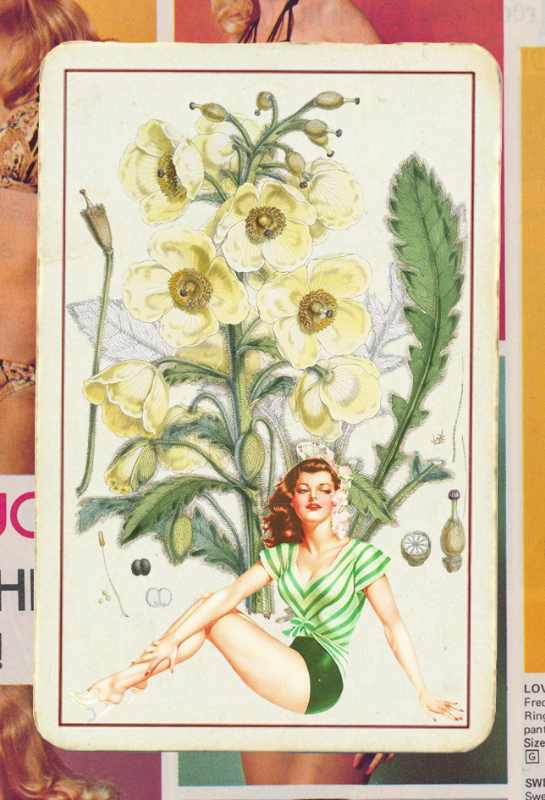 Paper Pinups v2 #38 static NFT preview