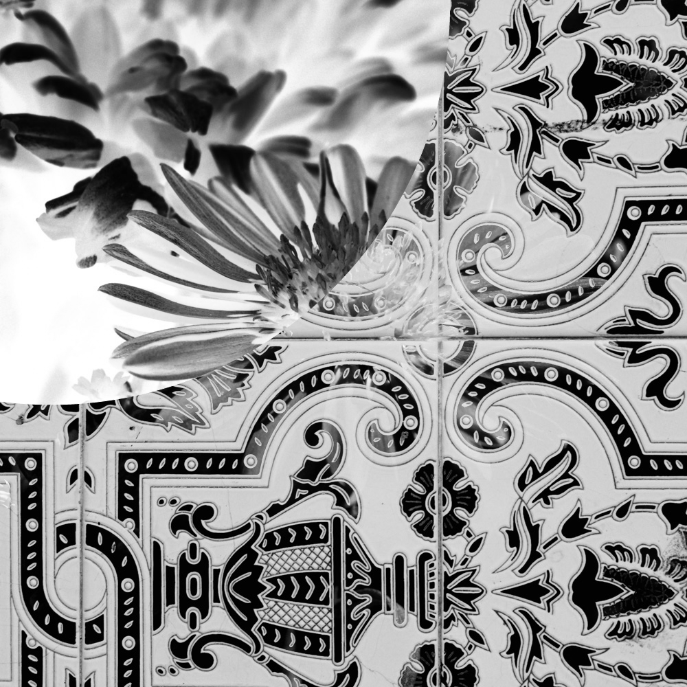 Subjective photography #1 #25 static token preview