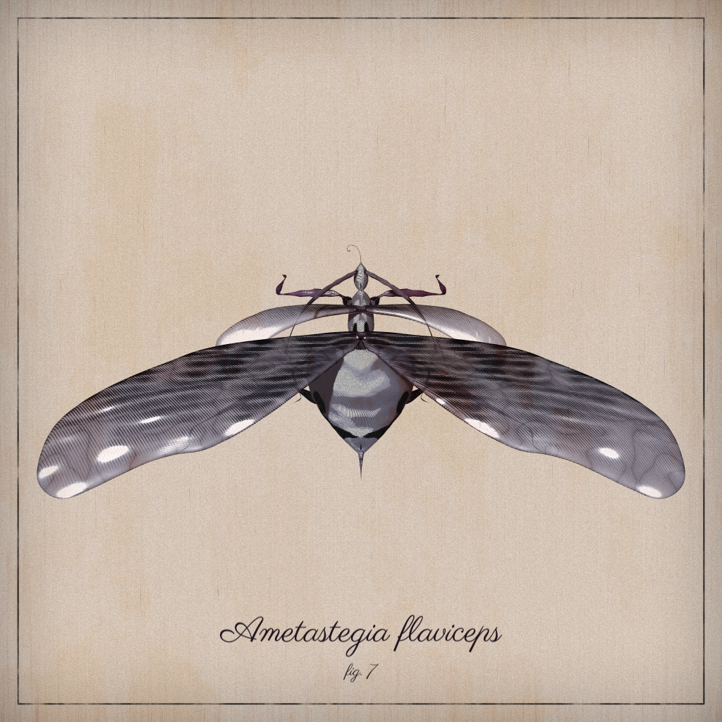 ProcGen Entomology #461 static token preview
