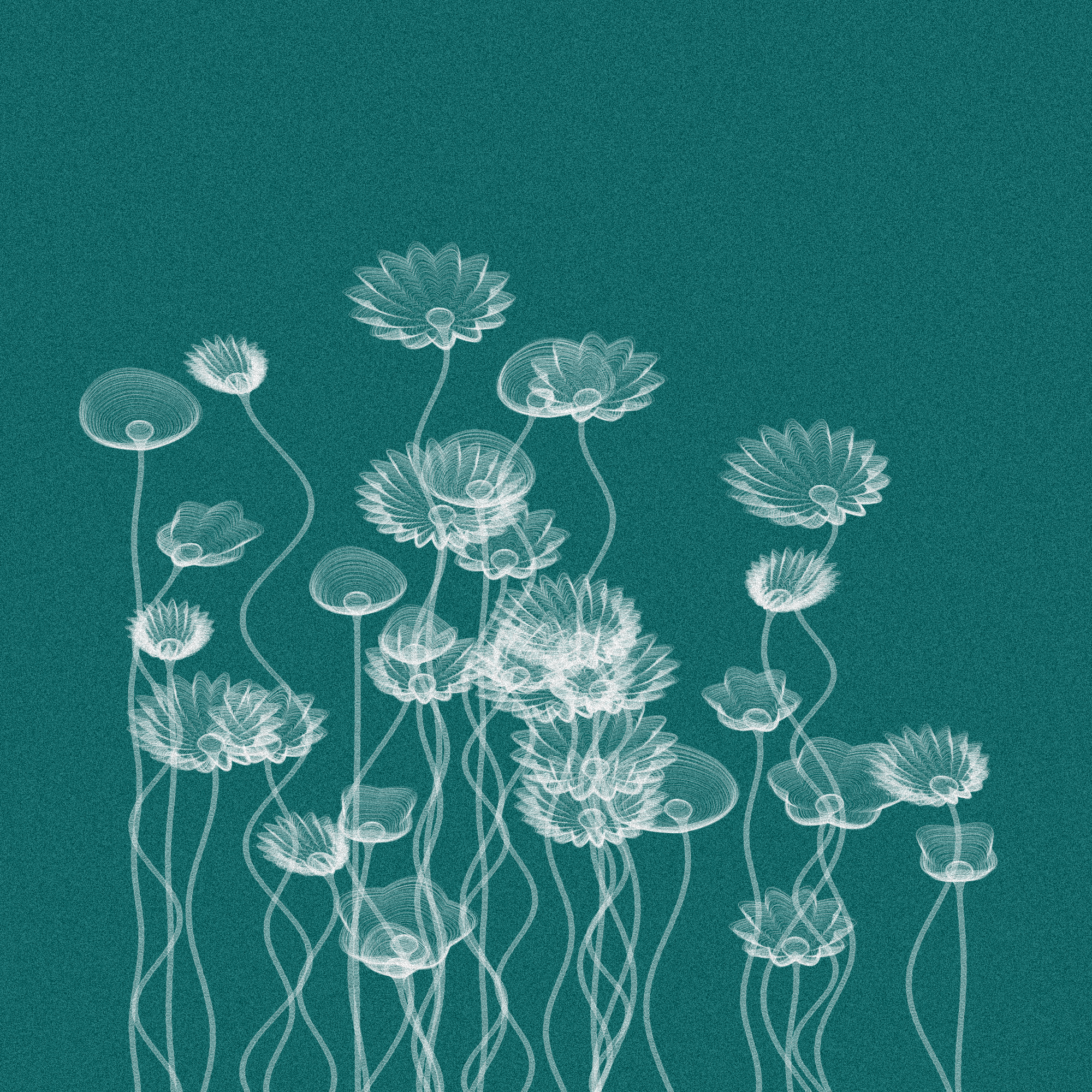 Code Flowers #28 static token preview