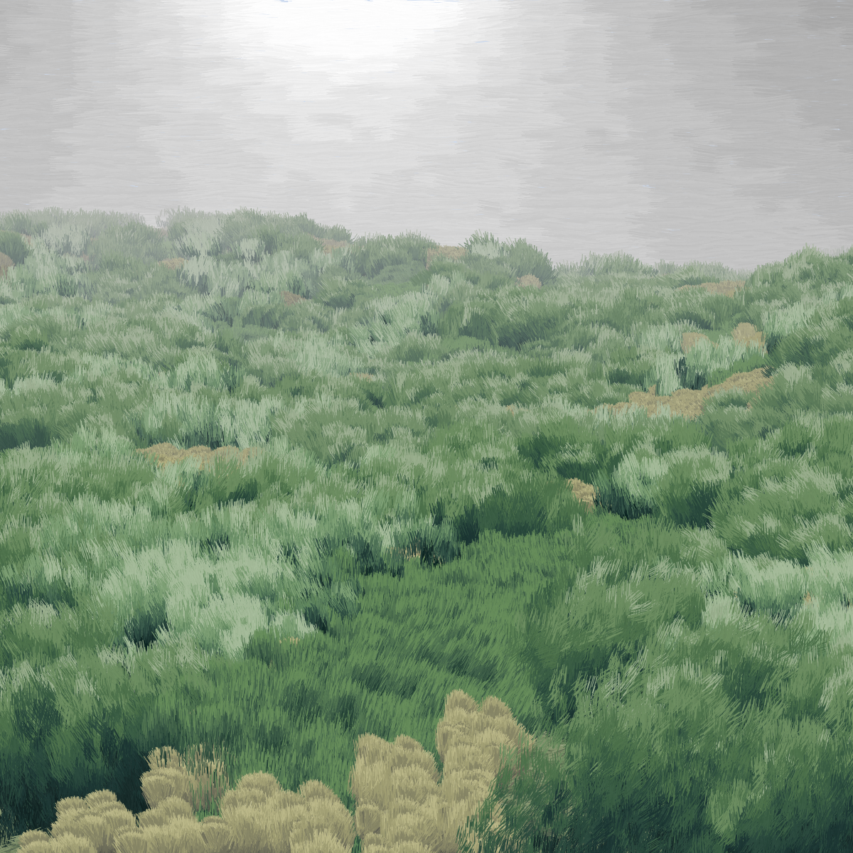 Provence #175 static NFT preview
