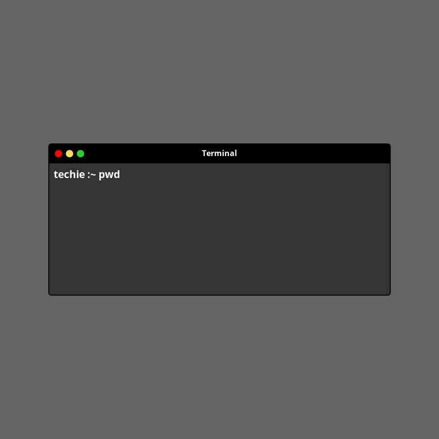 termina in frame #45 static token preview