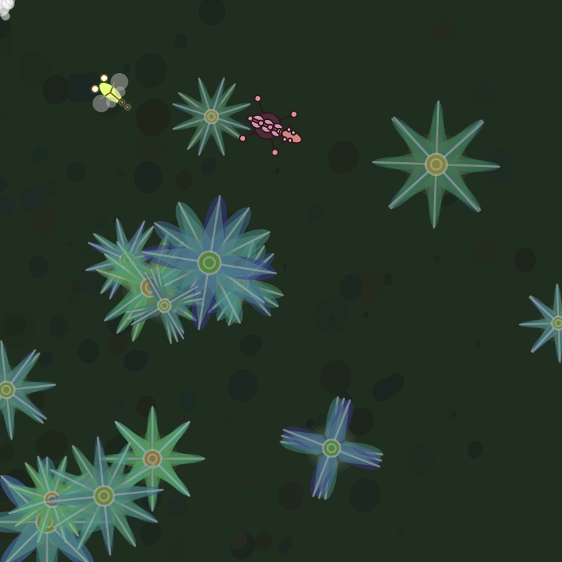 [Vital] - Bugs Terrarium #4 static token preview