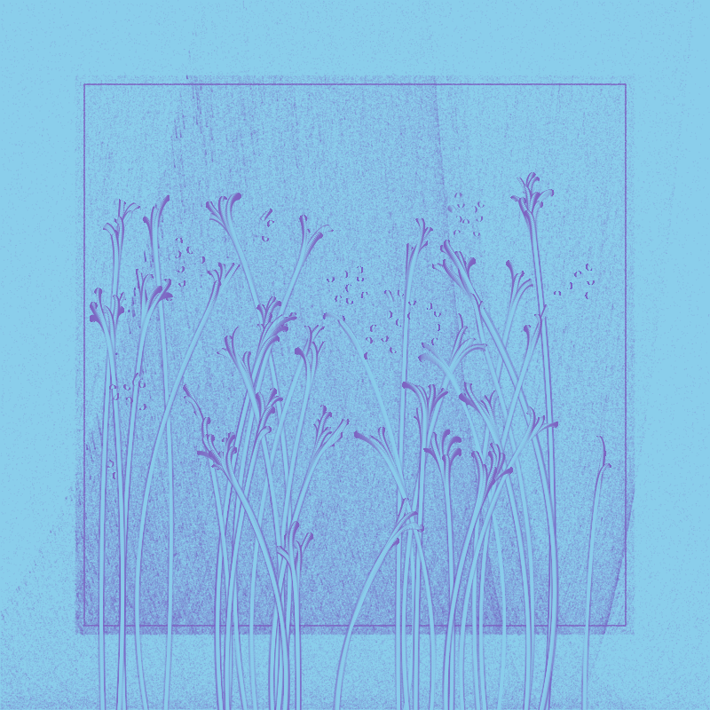 string_pllu #58 static NFT preview