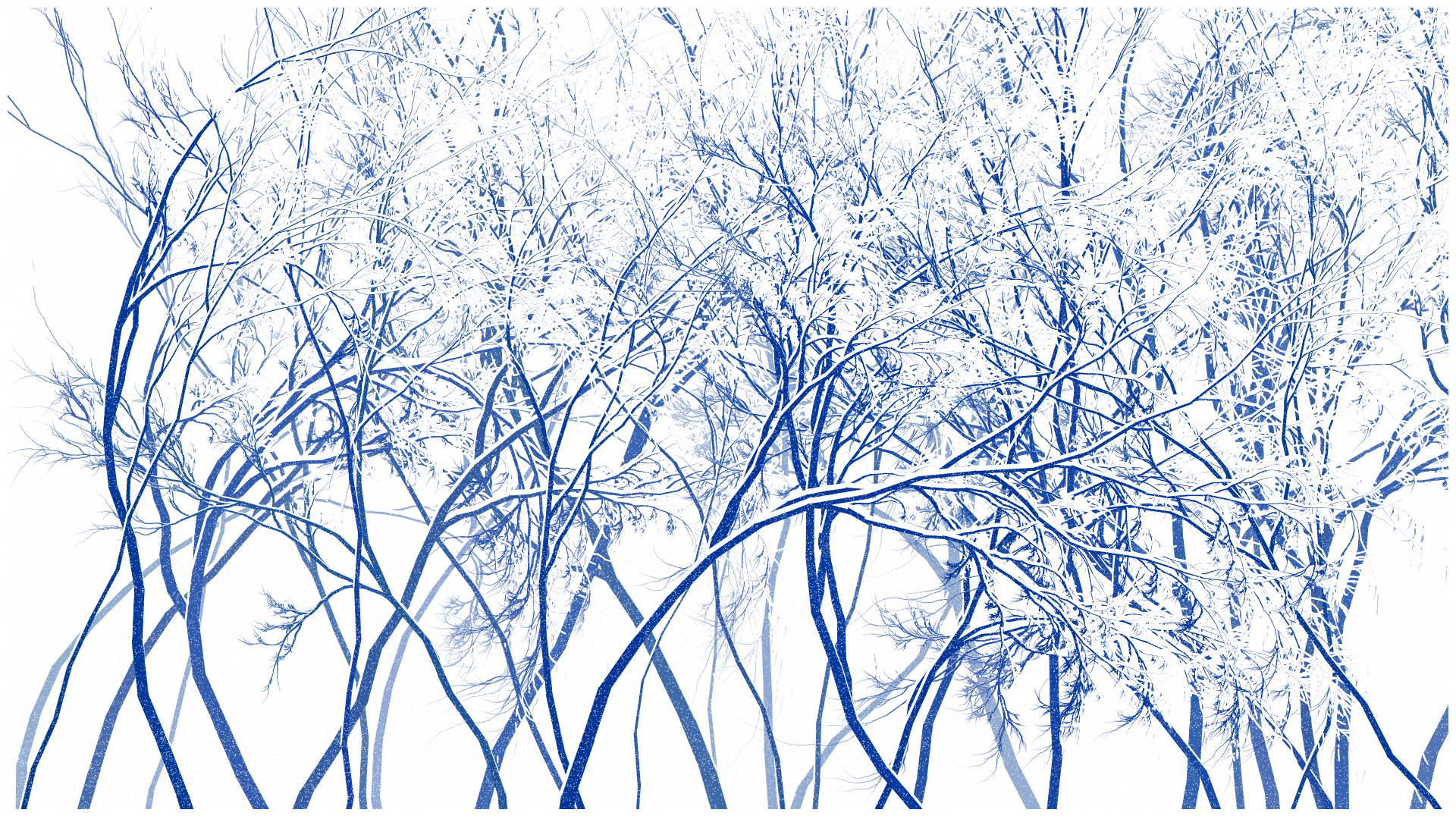 SCHNEEWALD #92 static NFT preview