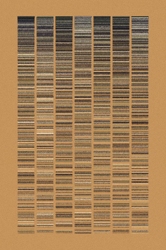 Sequence #171 static token preview