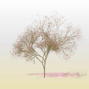 Hanami project preview