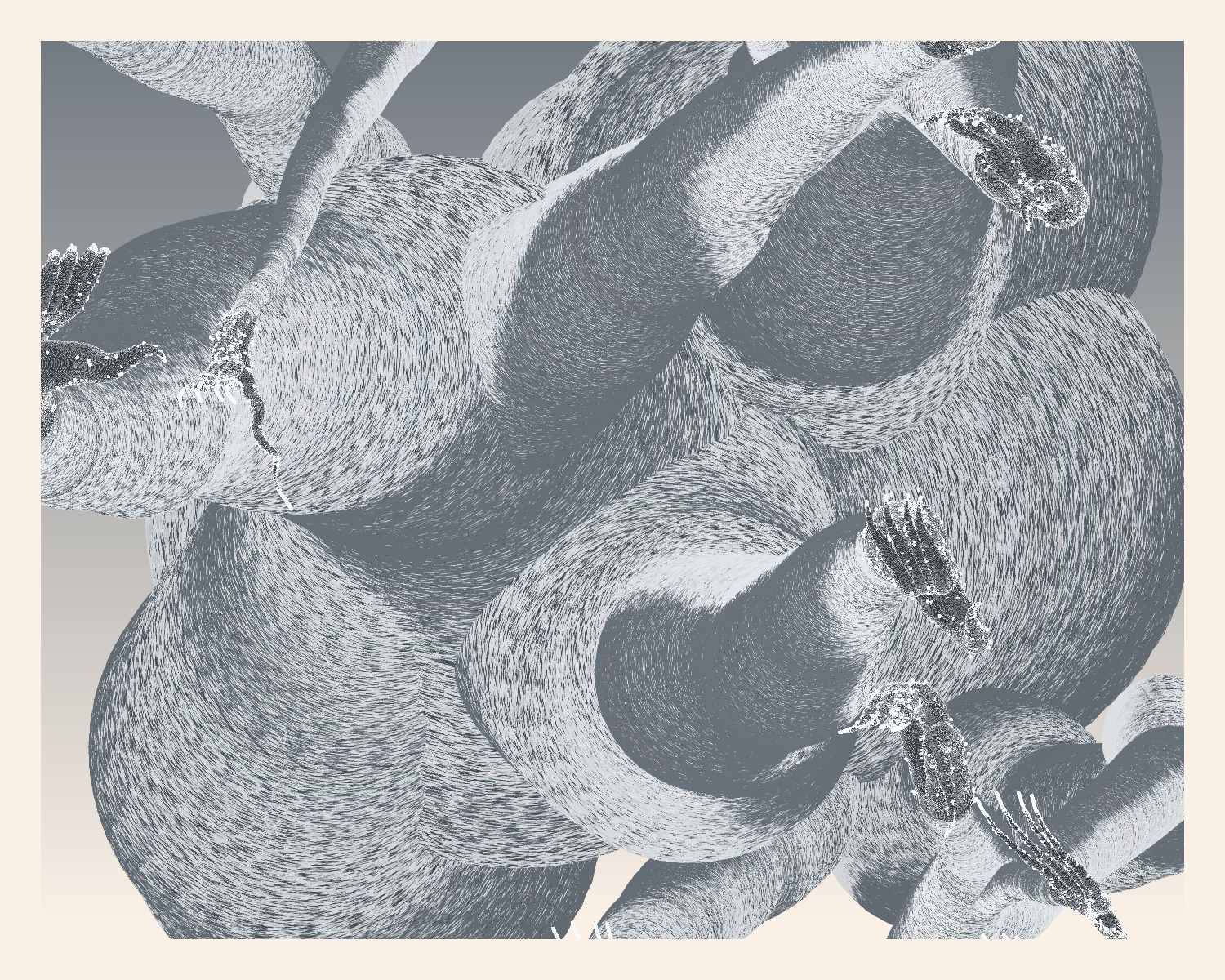 Aliciidae #53 static NFT preview