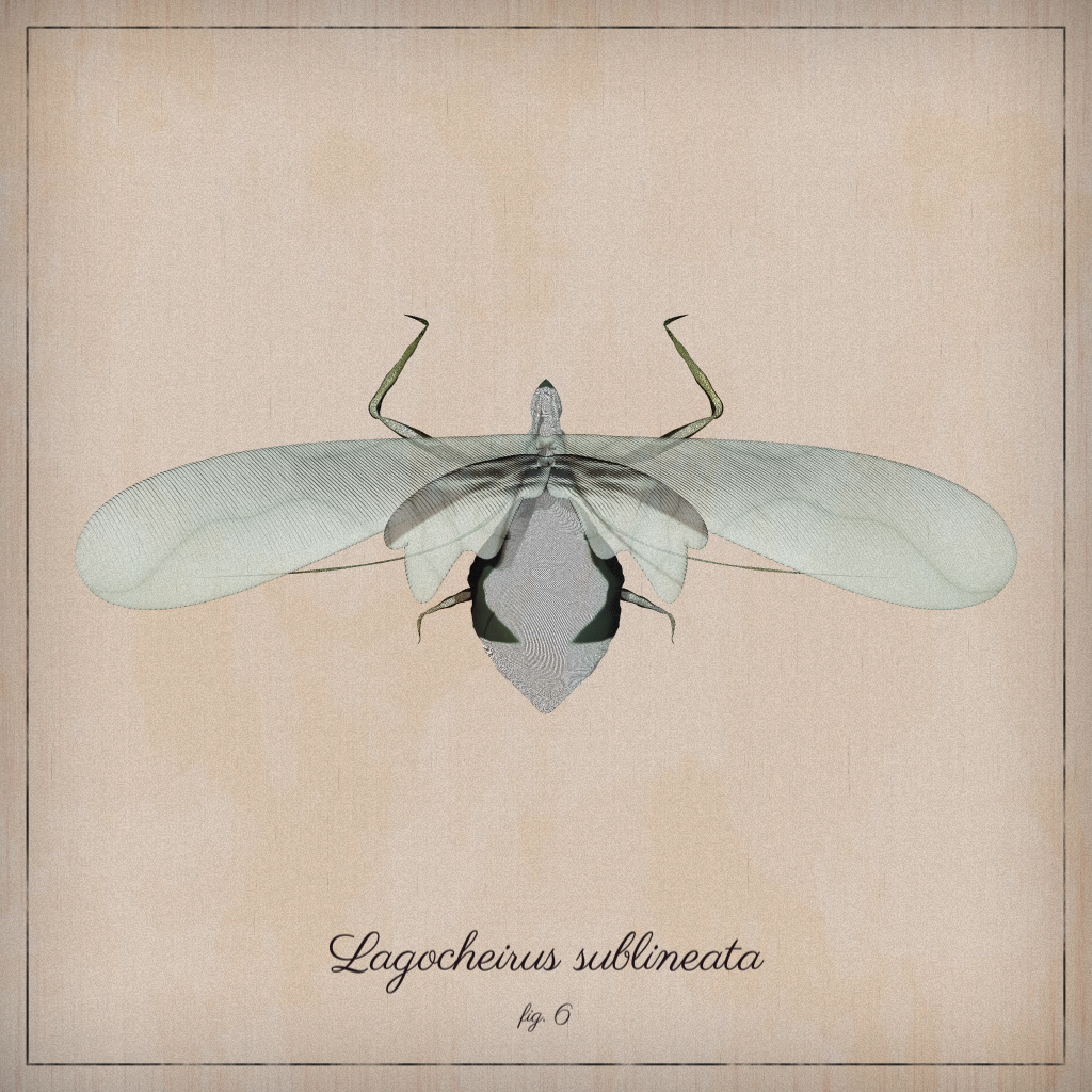 ProcGen Entomology #440 static NFT preview