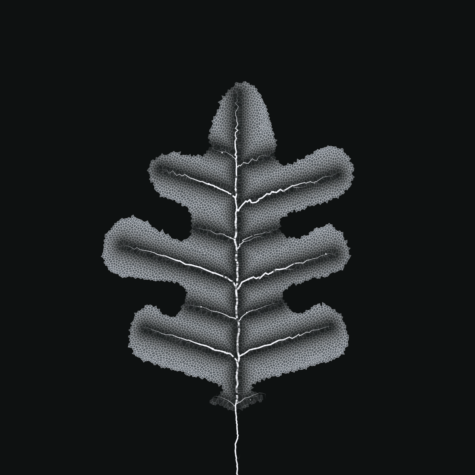 Leaf study #8 static token preview