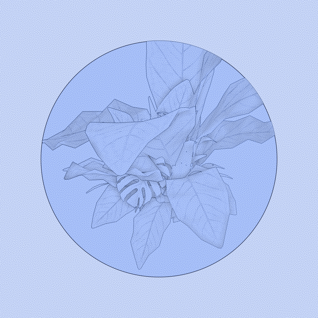 Botany #102 static token preview