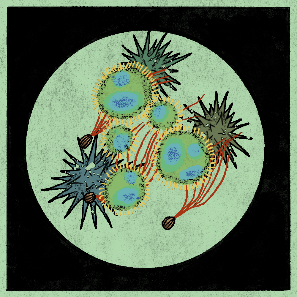 Microbes #148 static NFT preview