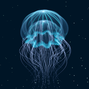 Creatures of the Deep #1 - The Jellyfish project preview