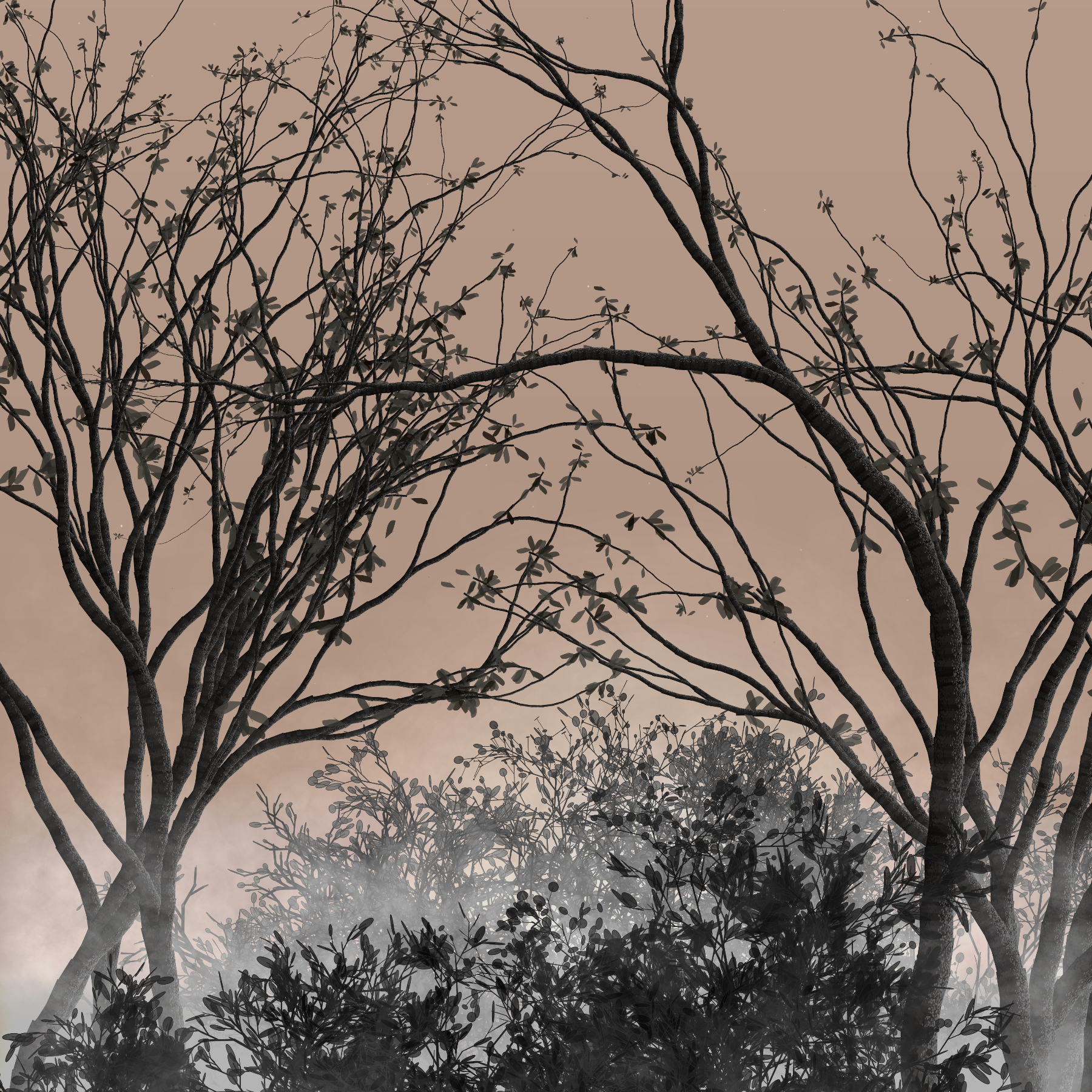 Morning Mist #124 static token preview