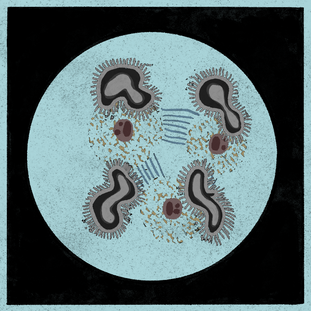 Microbes #246 static token preview