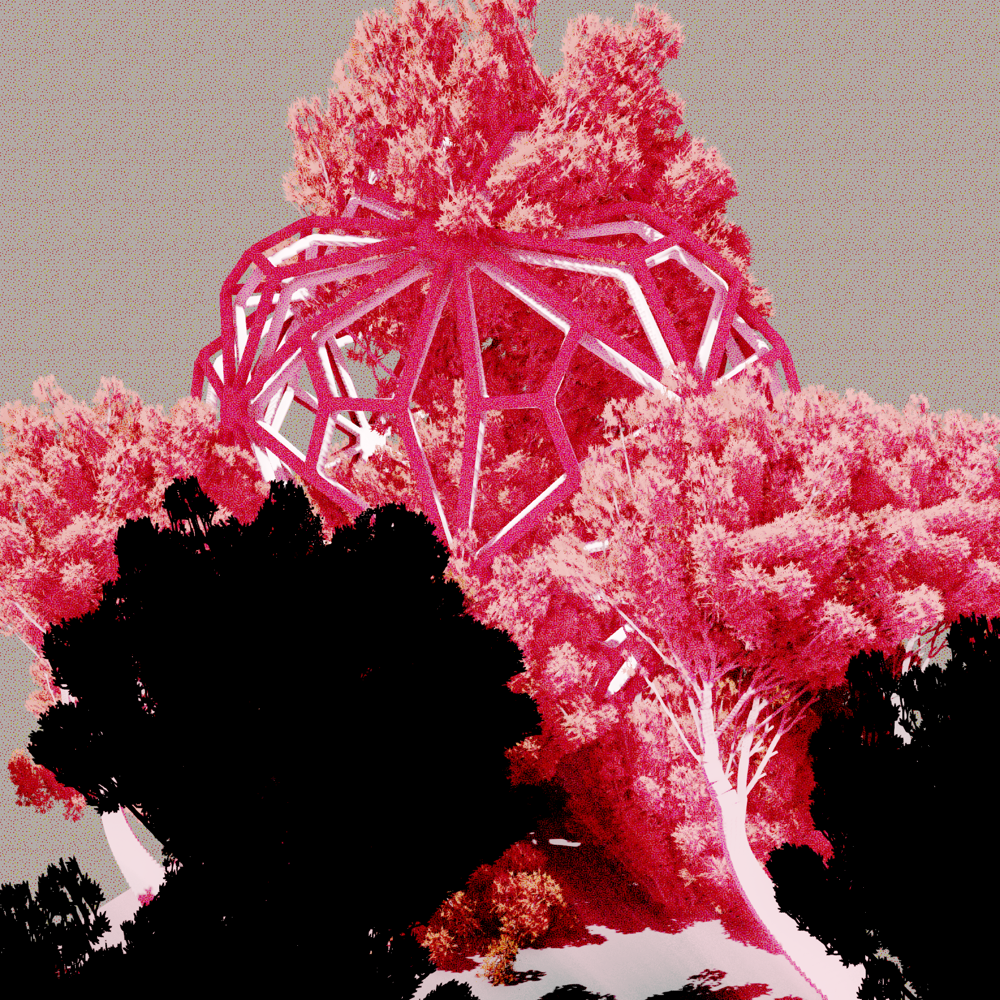 Urban Flora #32 static NFT preview