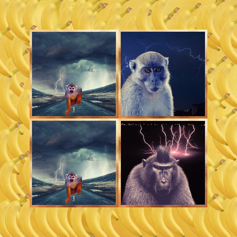 Banana legends #62 static token preview