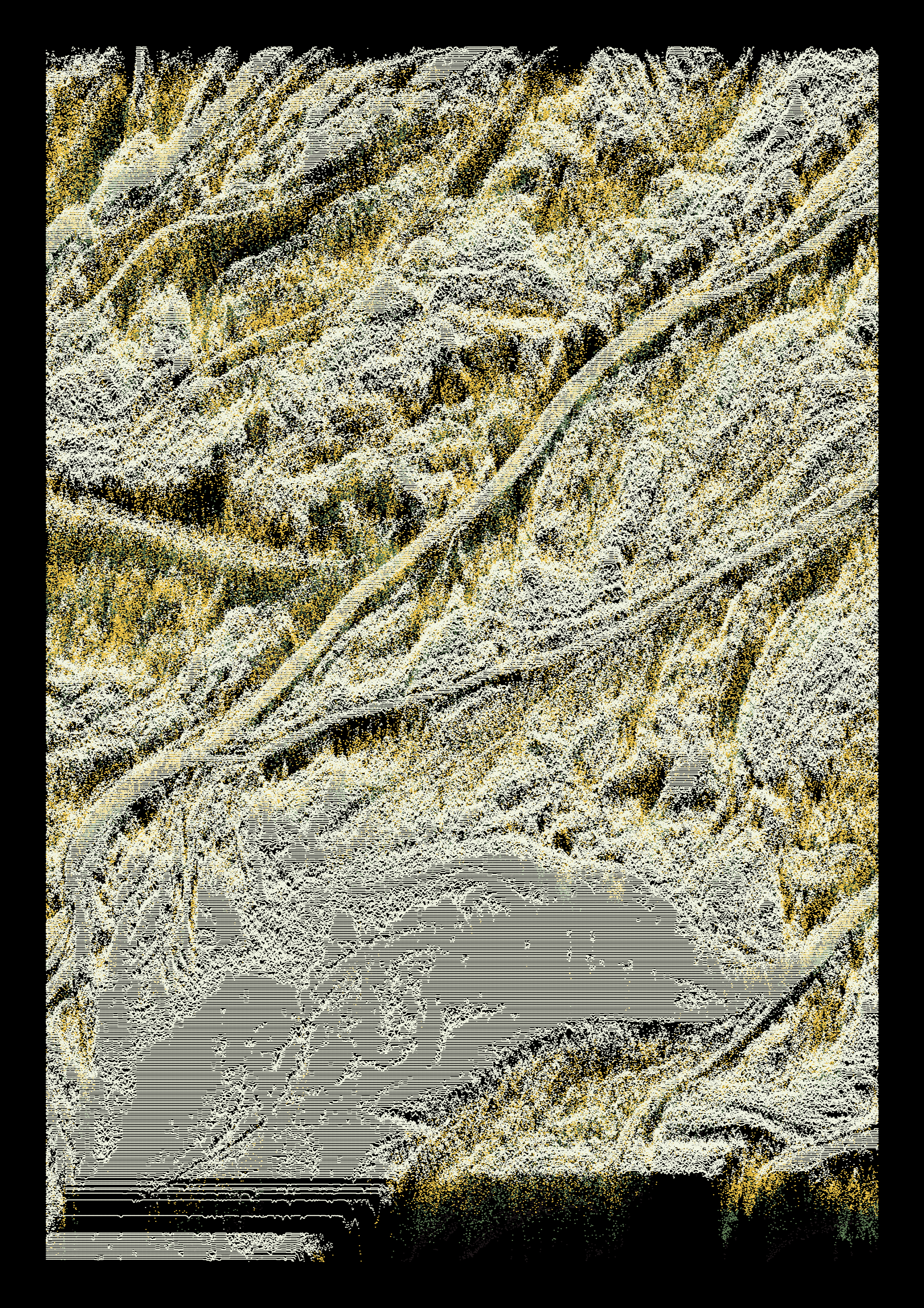 Gravures #147 static NFT preview