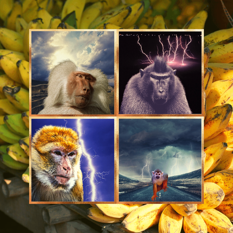Banana legends #49 static token preview