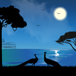 We Care...Peafowl project preview