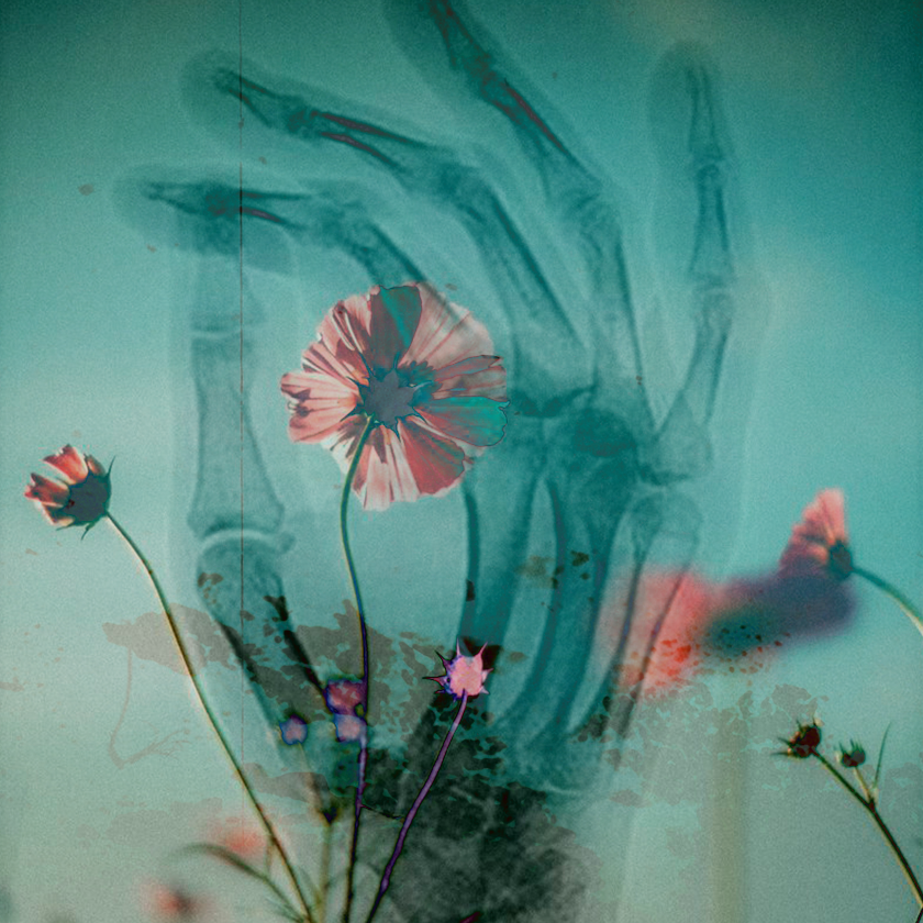 flowers and death #41 static NFT preview