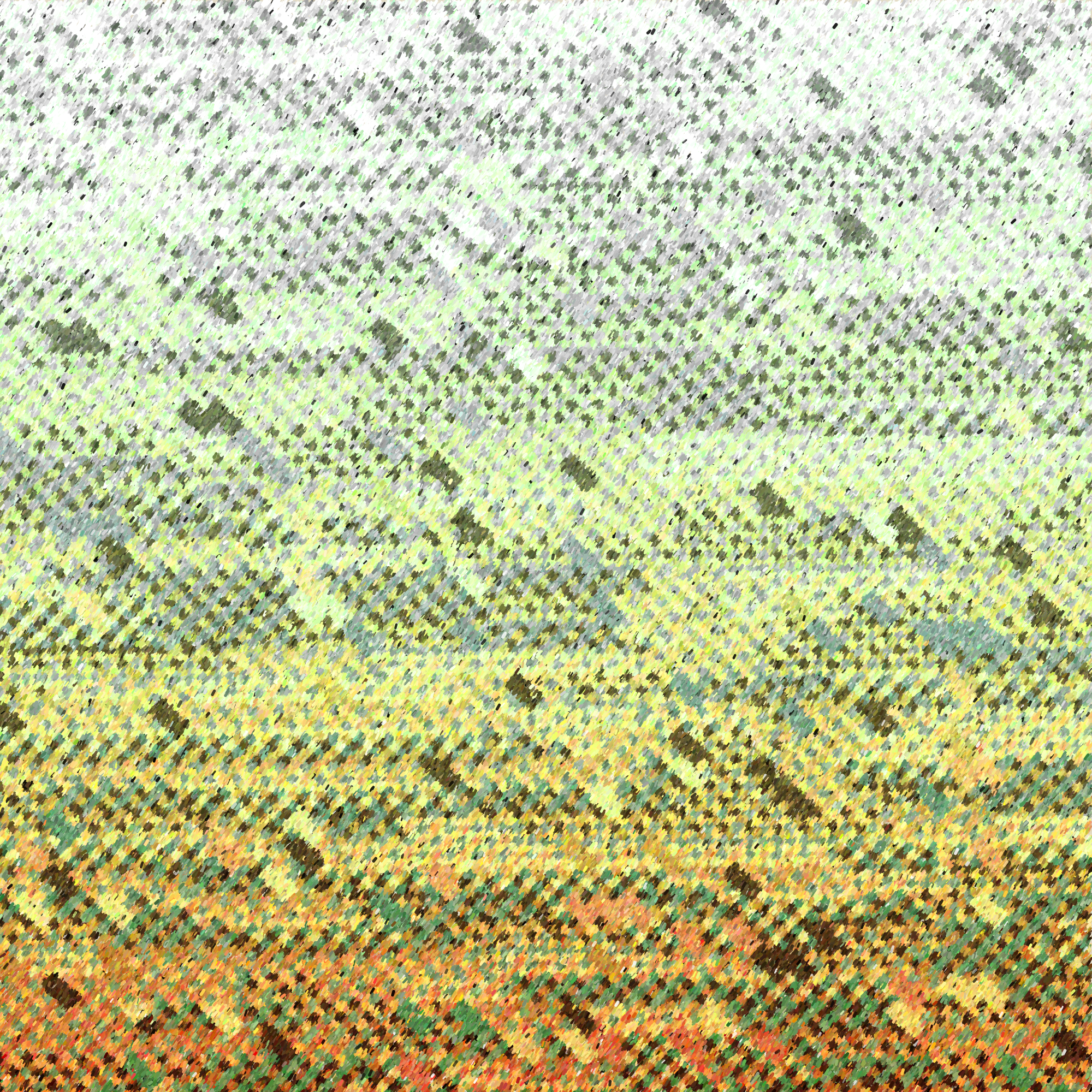 Agave & Patchwork #407 static NFT preview