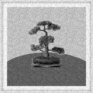 Bonsai Bonanza #368 static NFT preview